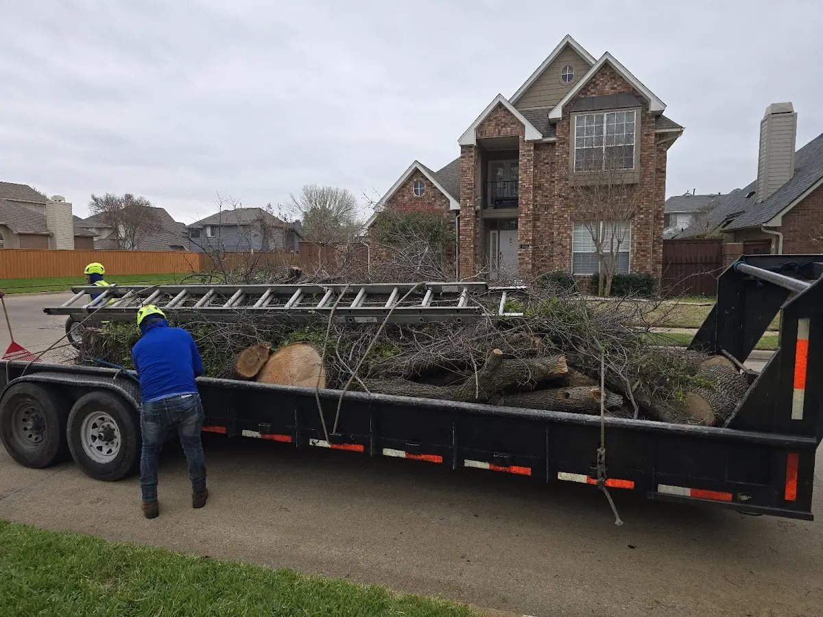 Expert Tree Fertilization with proper safety equipment in Maljamar